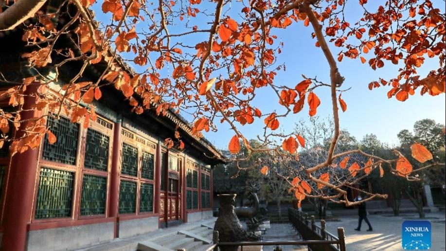 مناظر زیبای اوایل زمستان در پکنا