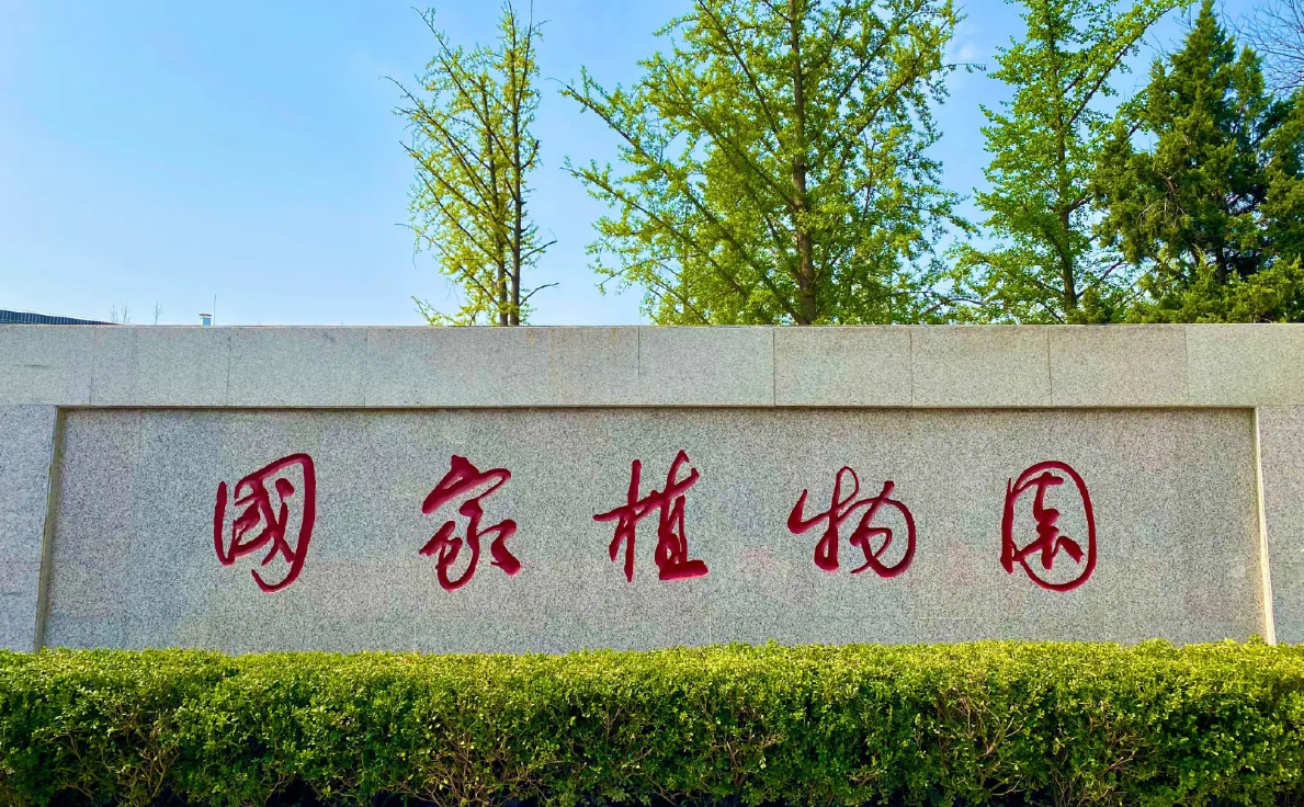 Хятадын Үндэсний ургамлын цэцэрлэгт хүрээлэн байгуулагдав