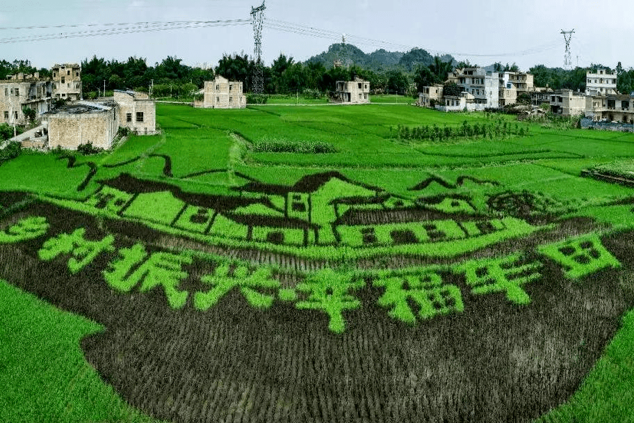 چین نقشه راه ساخت و ساز روستایی را ترسیم میکند