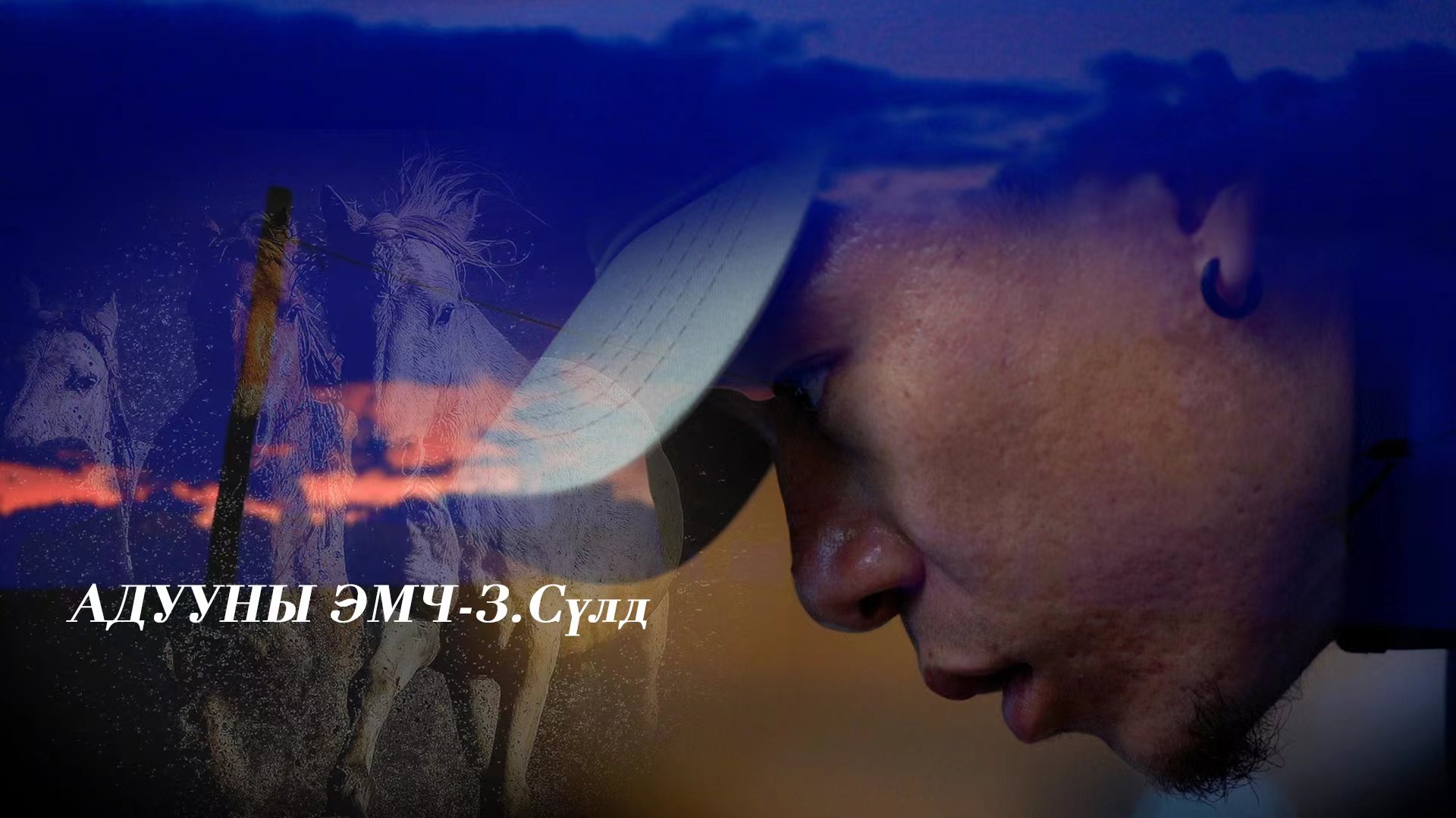 Адууны эмч З.Сүлд