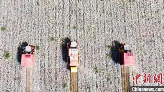 ماشین‌آلات کشاورزی هشتاد درصد پنبه های شین‌جیانگ را برداشت خواهند کرد