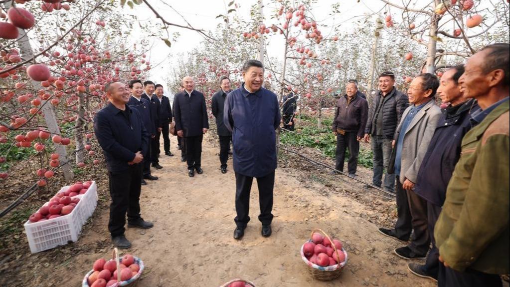 Xi ya jaddada sake farfado da yankunan karkara yayin da ya ziyarci Shaanxi da Henan