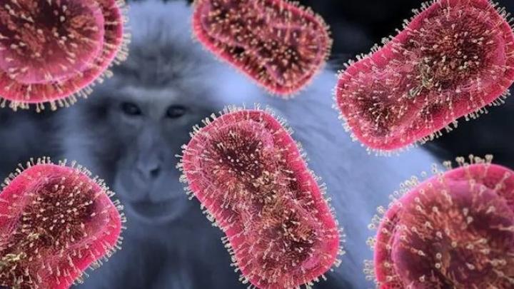 سازمان بهداشت جهانی نام جدید آبله میمونی را اعلام کردا