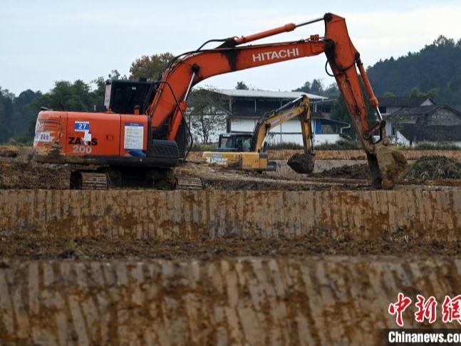 Pembinaan Perladangan Premium Dipergiatkan di Peng'an