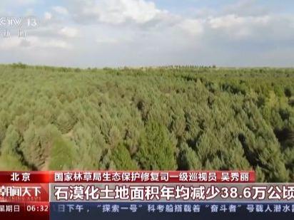今日は45回目の植樹の日　2022年中国植林面積は383万ヘクタール