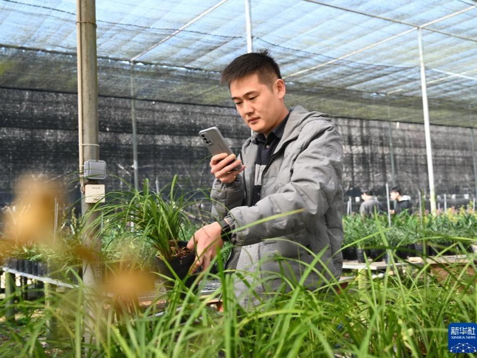Bunga Hasilan Zhangzhou Laris Dijual ke Seberang Laut