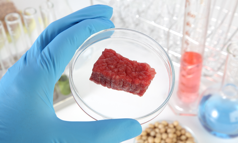 تولید گوشت با فناوری سلولی در چینا