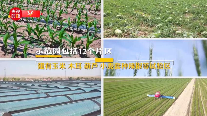 تاکید رهبر چین بر توسعه باکیفیت کشاورزیا