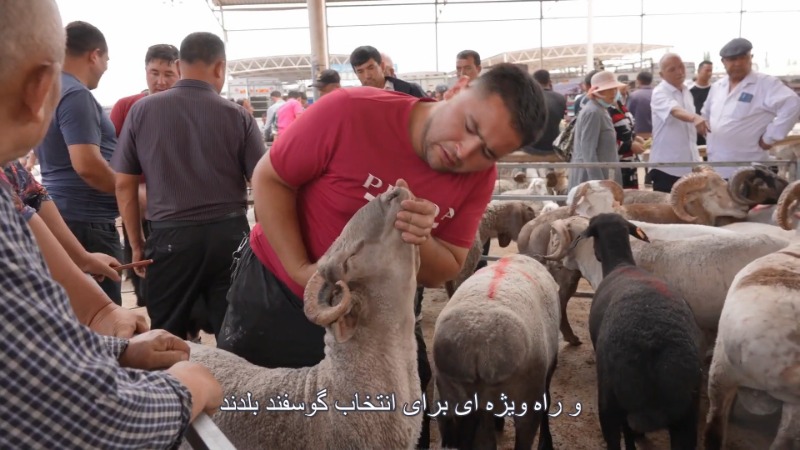 (ویدئو) حال و هوای عید قربان در بازارهای شین جیانگا
