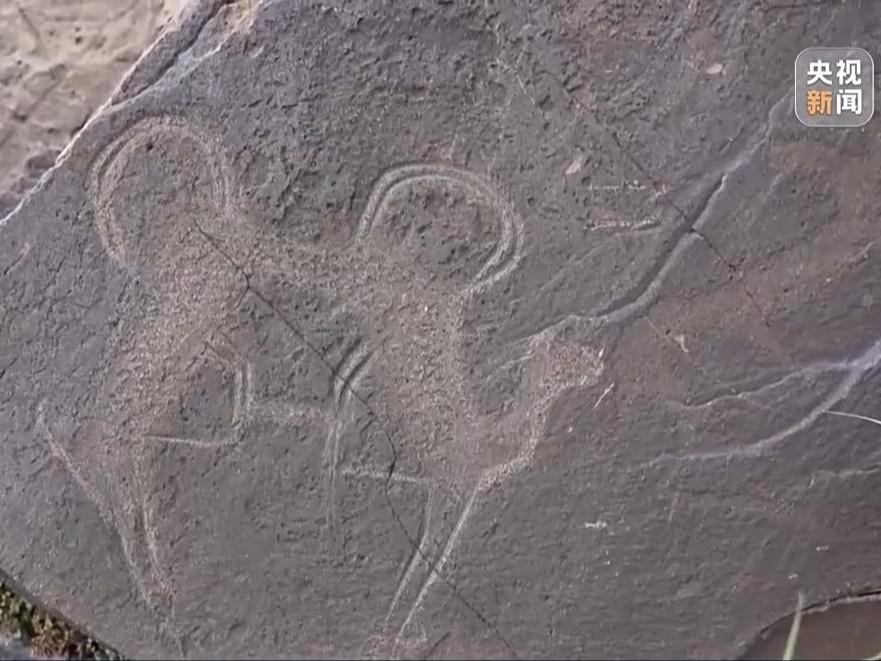 3000年前 新疆の天山にグラフィティアート？
