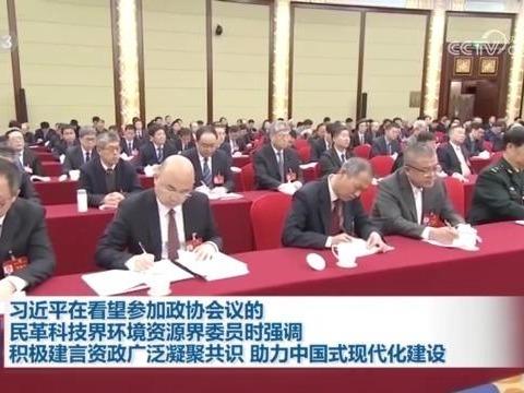 Xi Ucapkan Selamat Hari Wanita Antarabangsa dalam Sesi Temu Mesra CPPCC