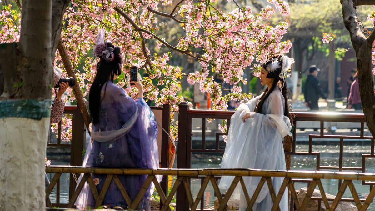 «هان فو» و شکوفه‌های گیلاس در «وو لونگ تانگ»