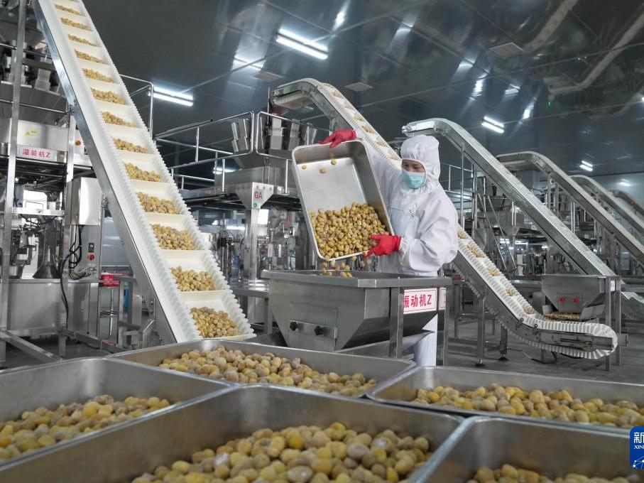 Hebei Pacu Industri Pemprosesan Hasil Pertanian