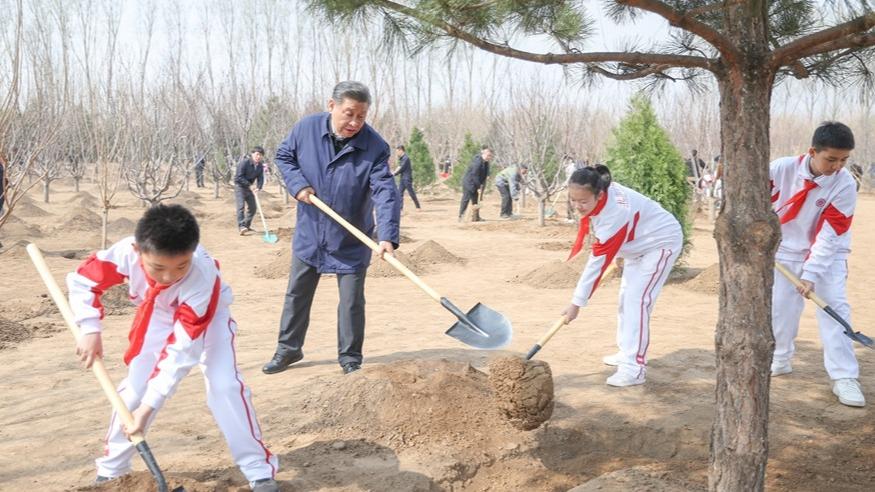 تاکید شی جین پینگ بر درختکاری عمومی و ساخت چین زیباا