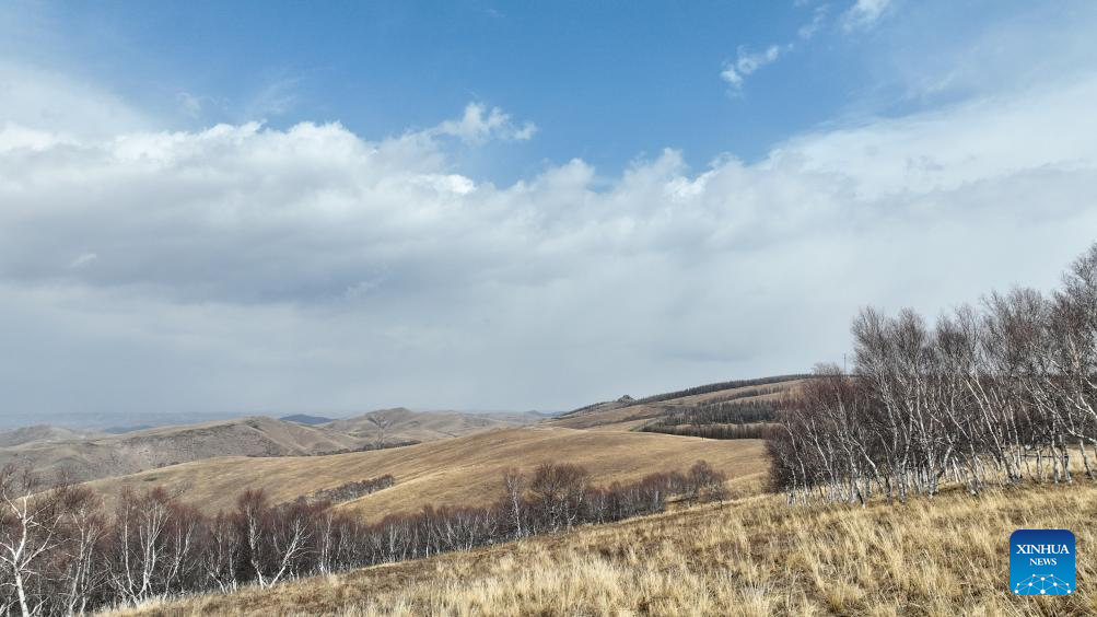 منطقه حفاظت‌شده «داچینگ‌شان» در مغولستان داخلی به روایت دوربینا