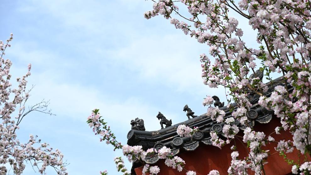 Furanni masu kyaun gani a Forbidden City