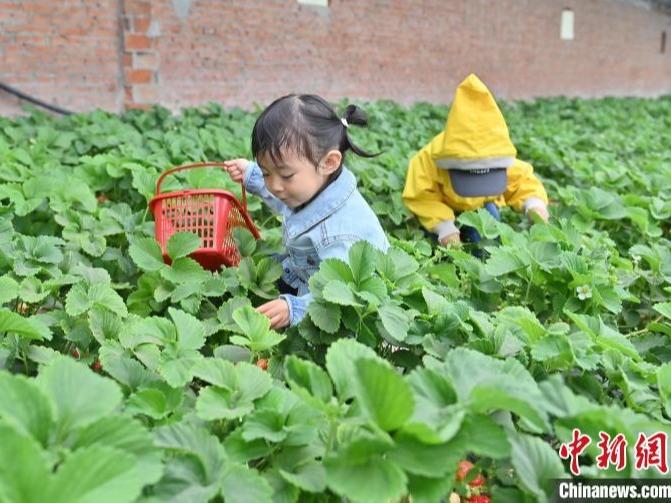 Anak Muda Belajar Bertani