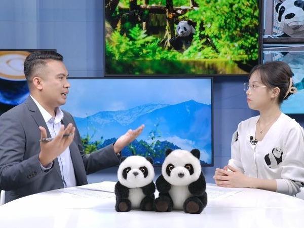 Dekati Habitat Panda Sempurna di Chengdu