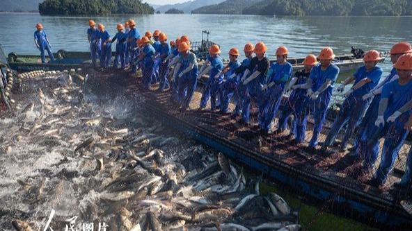 لذت ماهیگیری در شرق چین