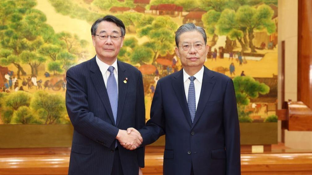 دیدار قانونگذار ارشد چین با نائب رئیس پارلمان ژاپن در پکنا