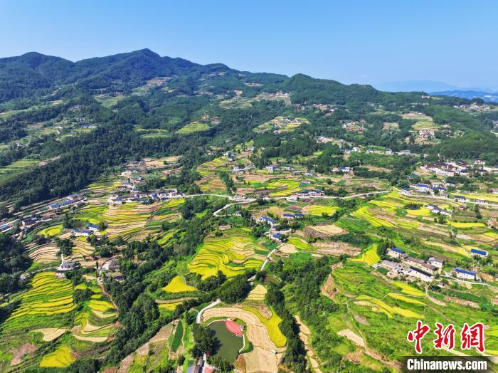 Ladang Teres Serlah Landskap Pastoral