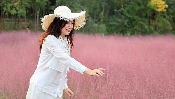 Muhlenbergia Capillaris Bermekaran di Shandong