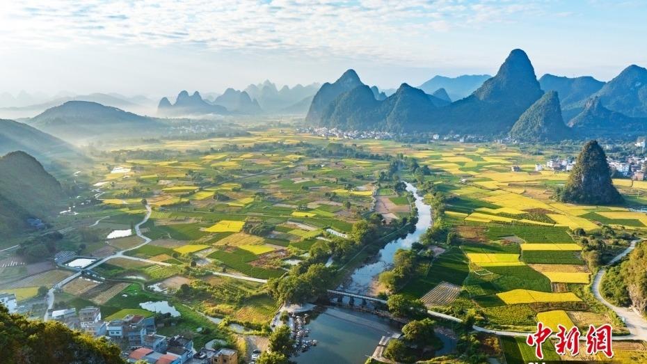 Hamparan Sawah Padi Membuai Perasaan