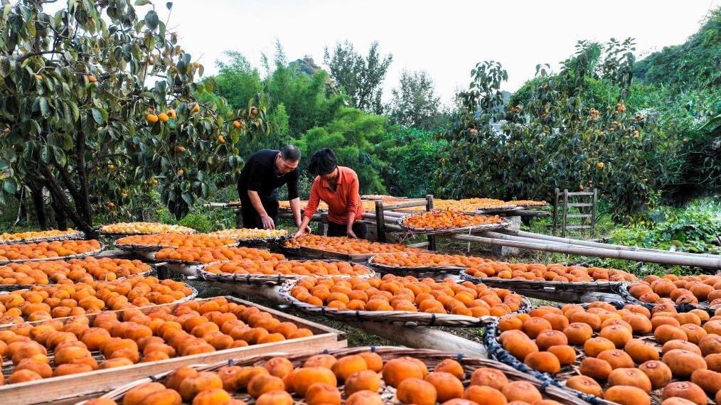 Pisang Kaki Jana Pendapatan Pengebun