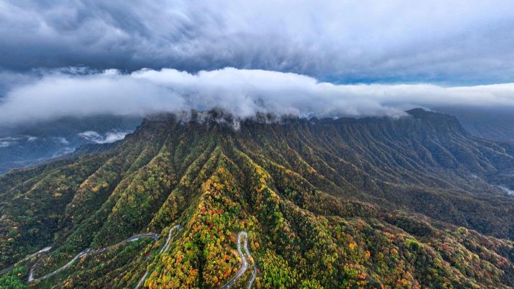 Gunung Guangwu Dihiasi Dedaun Warna-warni