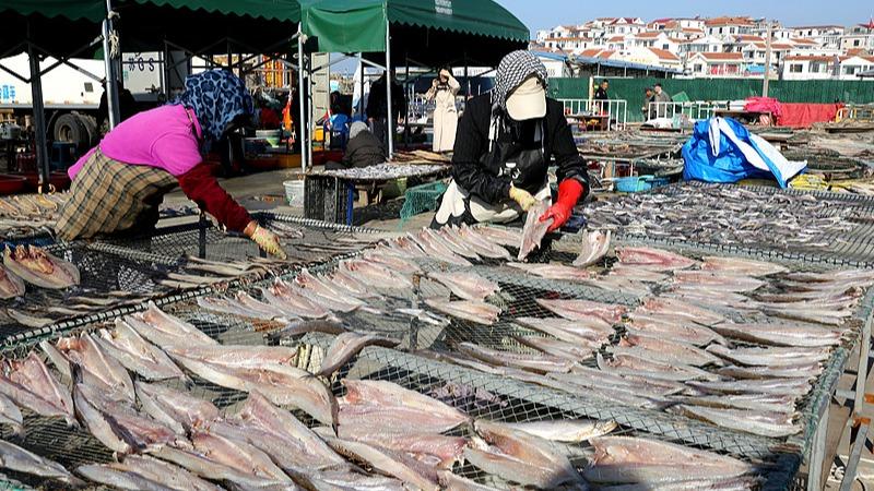 Sibuk Jemur Tangkapan Ikan