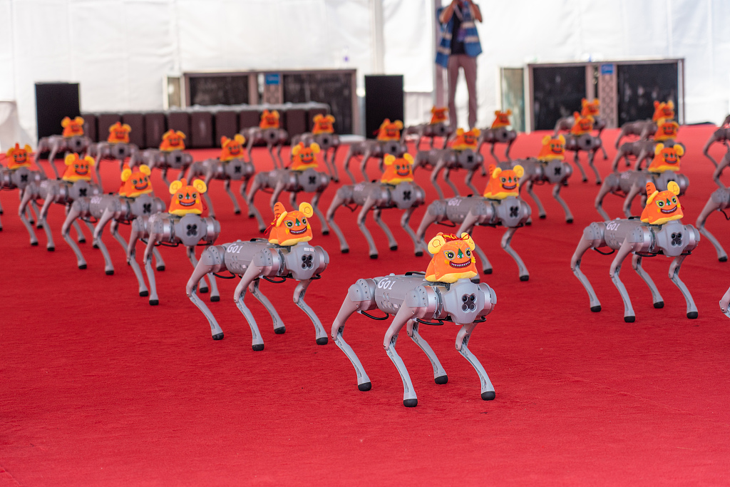 130 de câini-roboți au realizat un record mondial în rostogolire colectivă.