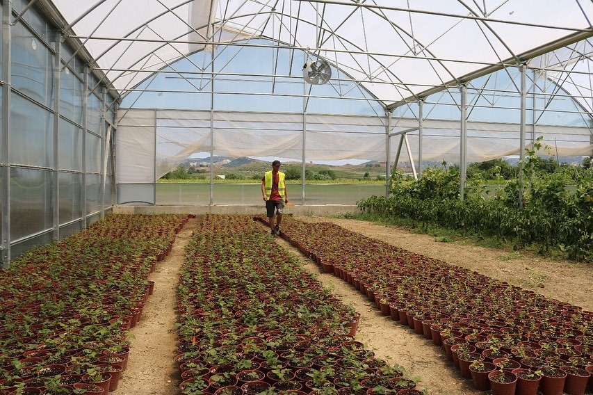 fermere ne Shqiperi (Foto ATSH)