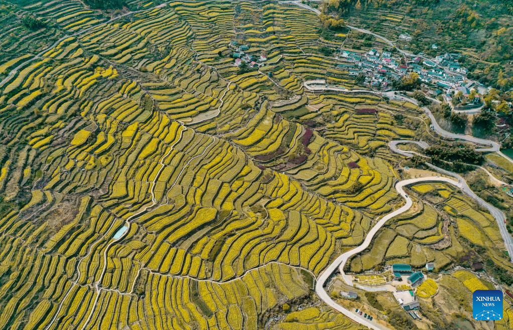 Αυτή η αεροφωτογραφία που τραβήχτηκε στις 3 Απριλίου 2023 δείχνει τα χωράφια με αναβαθμίδες στην κωμόπολη Λινγκνάν της περιφέρειας Σανγκγιού της πόλης Σαοσίνγκ, στην επαρχία Τζετζιάνγκ της ανατολικής Κίνας. (Xinhua/Weng Xinyang)