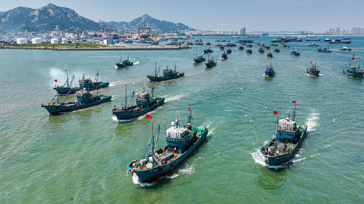 (Fotografie din arhivă cu nave de pescuit pe mare în Weihai, provincia Shandong) 