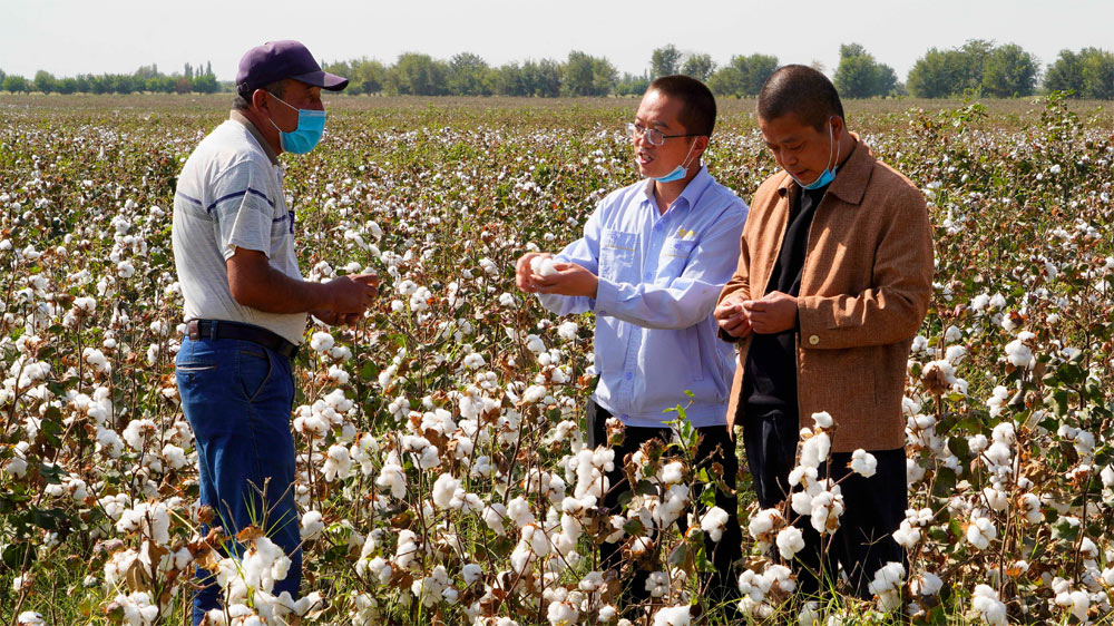 Ekspertët kinezë shkëmbejnë përvojën e mbjelljes së pambukut me fermerët vendas në Uzbekistan, 2020.