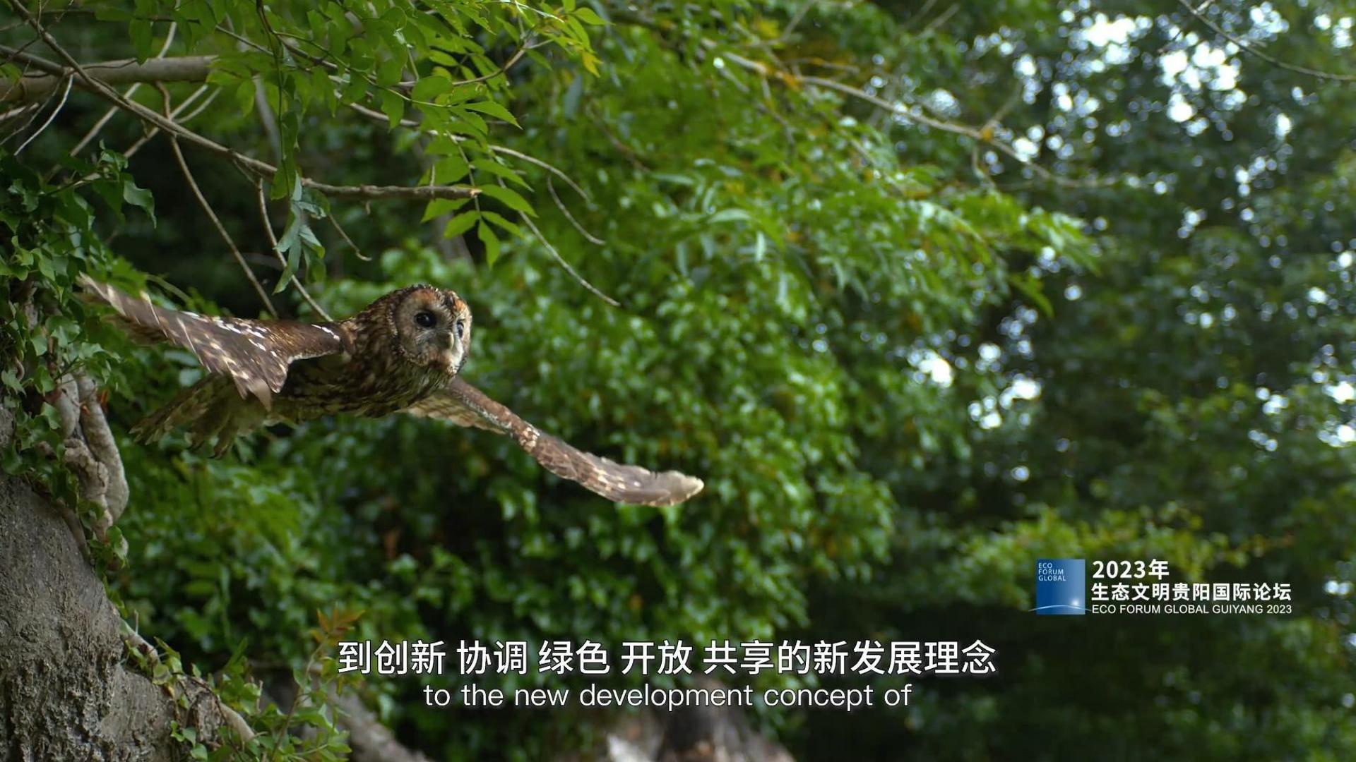 foto nga faqja zyrtare e forumit "Eco Global Guiyang  2023"