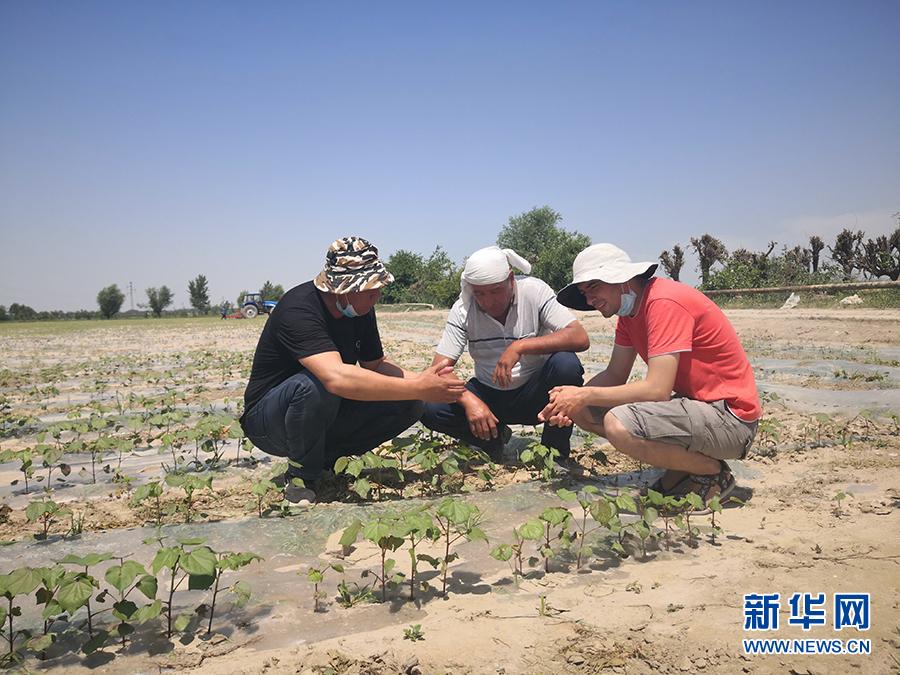 Teknikë kinezë në Uzbekistan për të përhapur sistemin e kursimit të ujit(Foto:Xinhua)