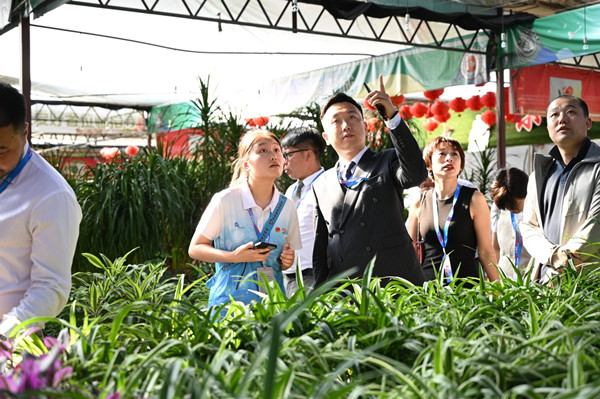 Sipërmarrësit e rinj mongolë që marrin pjesë në Forumin e Zhvillimit dhe Bashkëpunimit të Sipërmarrësve të Rinj të Azisë Verilindore vizitojnë një bazë frutash, perimesh dhe lulesh në Jilin Chunlian Gardening Engineering Co Ltd në Changchun, provincën Jilin, në gusht/China Daily