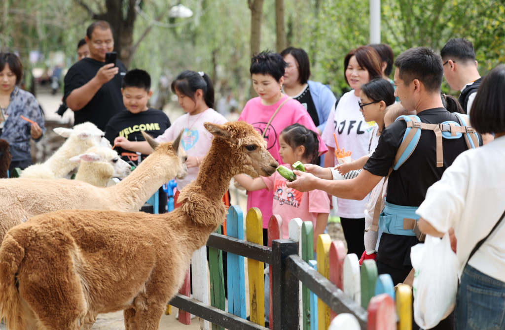 Vizitorë në një kopsht zoologjik, qytet Linyi, 3 tetor 2023(Foto:VCG)