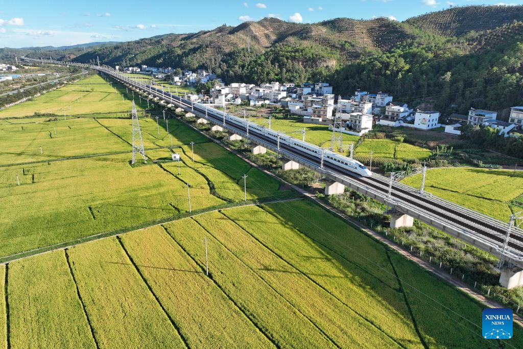Σε αυτή την αεροφωτογραφία, ένα τρένο υψηλής ταχύτητας περνά από ορυζώνες στην πόλη Λονγκτσουάν στην κομητεία Νανχουά, στην αυτόνομη επαρχία Τσουσιόνγκ Γι, στηνεπαρχία Γιουνάν της νοτιοδυτικής Κίνας, 5 Οκτωβρίου 2023. (Φωτογραφία Xia Tianyu/Xinhua)