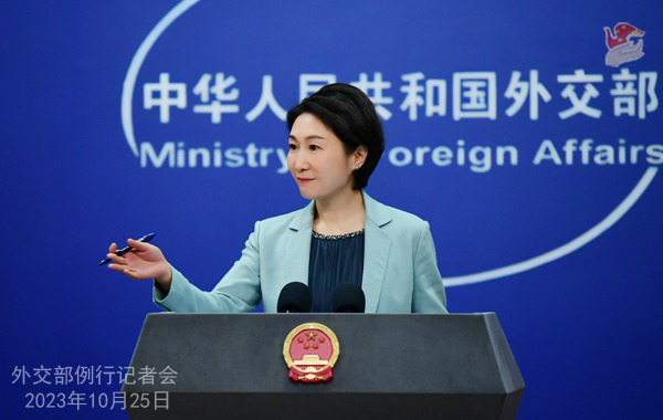 外交部 豪の中国への文化財返還は両国民の心の通じ合いを示す 外交部 豪の中国への文化財返還は両国民の心の通じ合いを示す
