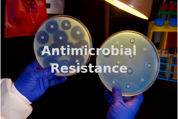 Rezistenca antimikrobike (Foto Globalhealthin)