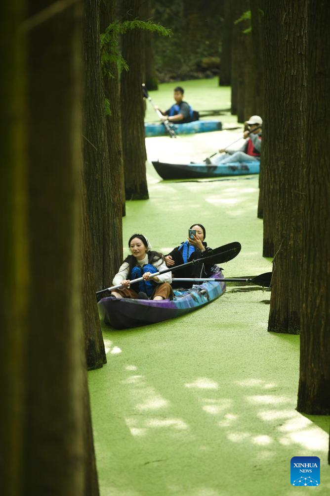 Τουρίστες κωπηλατούν μέσα σε ένα βυθισμένο δάσος στην ελκυστική τοποθεσία της λίμνης Τσινγκσάν στην περιοχή Λιν’αν της πόλης Χανγκτζόου, στην επαρχία Τζετζιάνγκ της ανατολικής Κίνας, 22 Οκτωβρίου 2023.