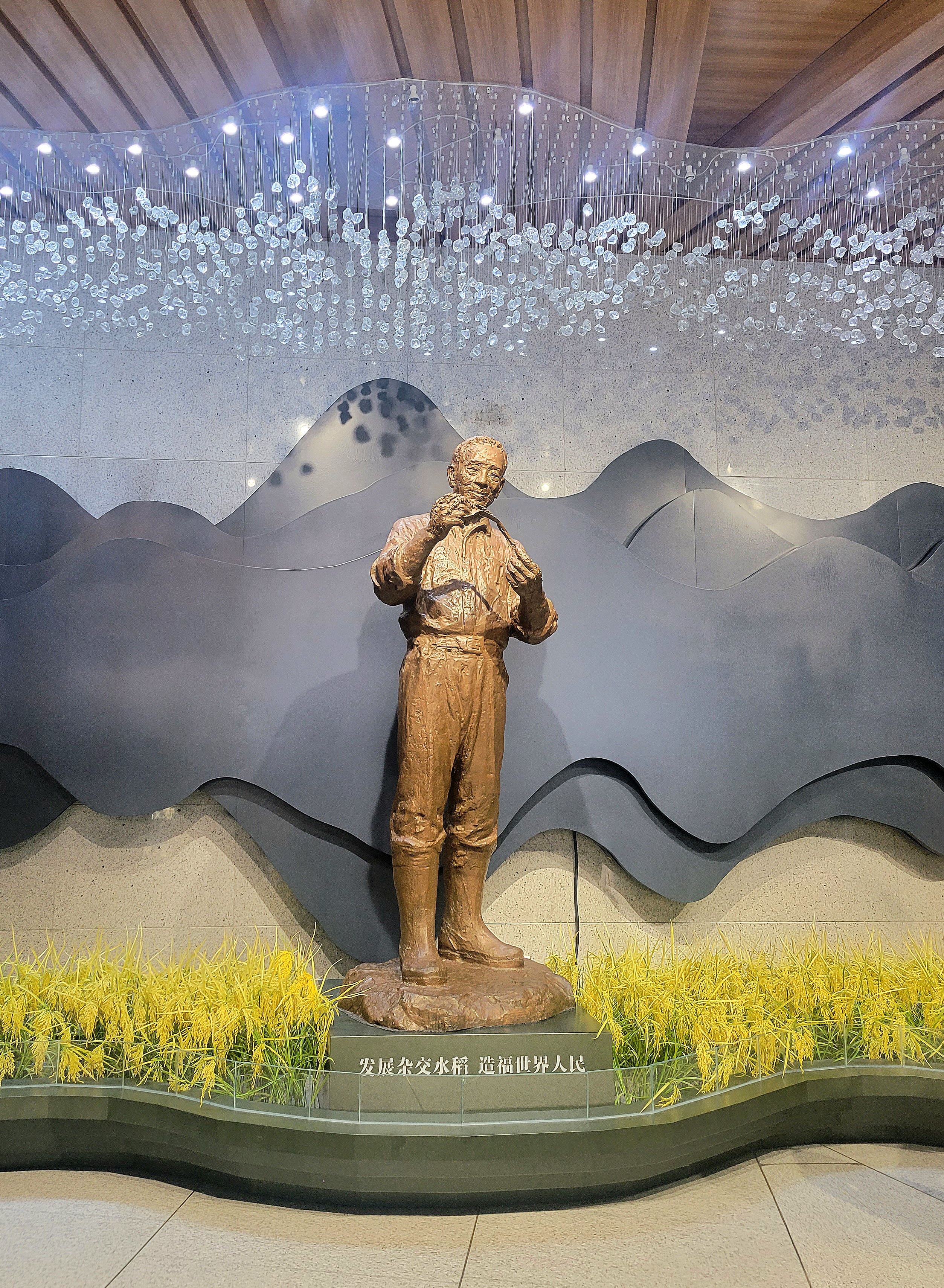 Άγαλμα του Γιουέν Λονγκπίνγκ (袁隆平: Υuán Lóngpíng), του «πατέρα του υβριδικού ρυζιού» από την έκθεση για την ζωή του στην Τσανγκσά, πρωτεύουσα επαρχίας Χενάν, στις 31 Οκτωβρίου 2023 (Φωτογραφία Εύα Παπαζή/CRI Greek)