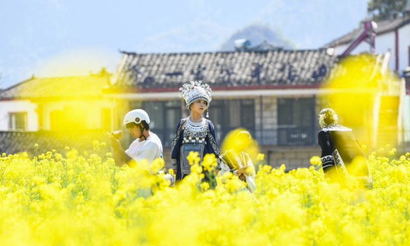Τουρίστες σε ένα χωράφι γεμάτο με κίτρινα λουλούδια στην πόλη Σινγτσί, της επαρχίας Γκουιτζόου της νοτιοδυτικής Κίνας, 17 Φεβρουαρίου 2024. (Φωτογραφία από τον Liu Chaofu/Xinhua)