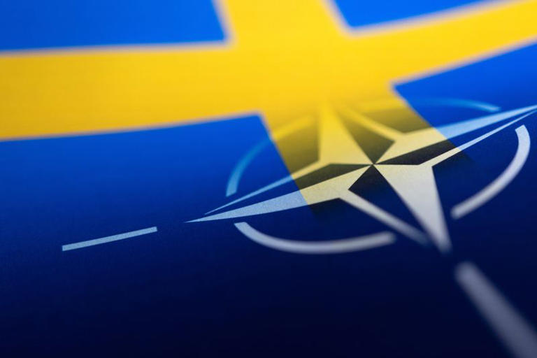 Suedia ne Nato (FOto Msn)