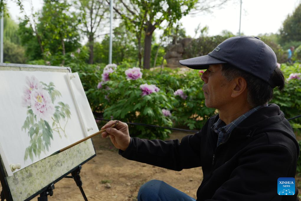 Ένας ζωγράφος δημιουργεί μια παραδοσιακή ζωγραφική με παιώνιες στον Εθνικό Κήπο Παιώνιας στο Λουογιάνγκ, στην επαρχία Χενάν της κεντρικής Κίνας, 16 Απριλίου 2024. (Xinhua/Li Jianan)