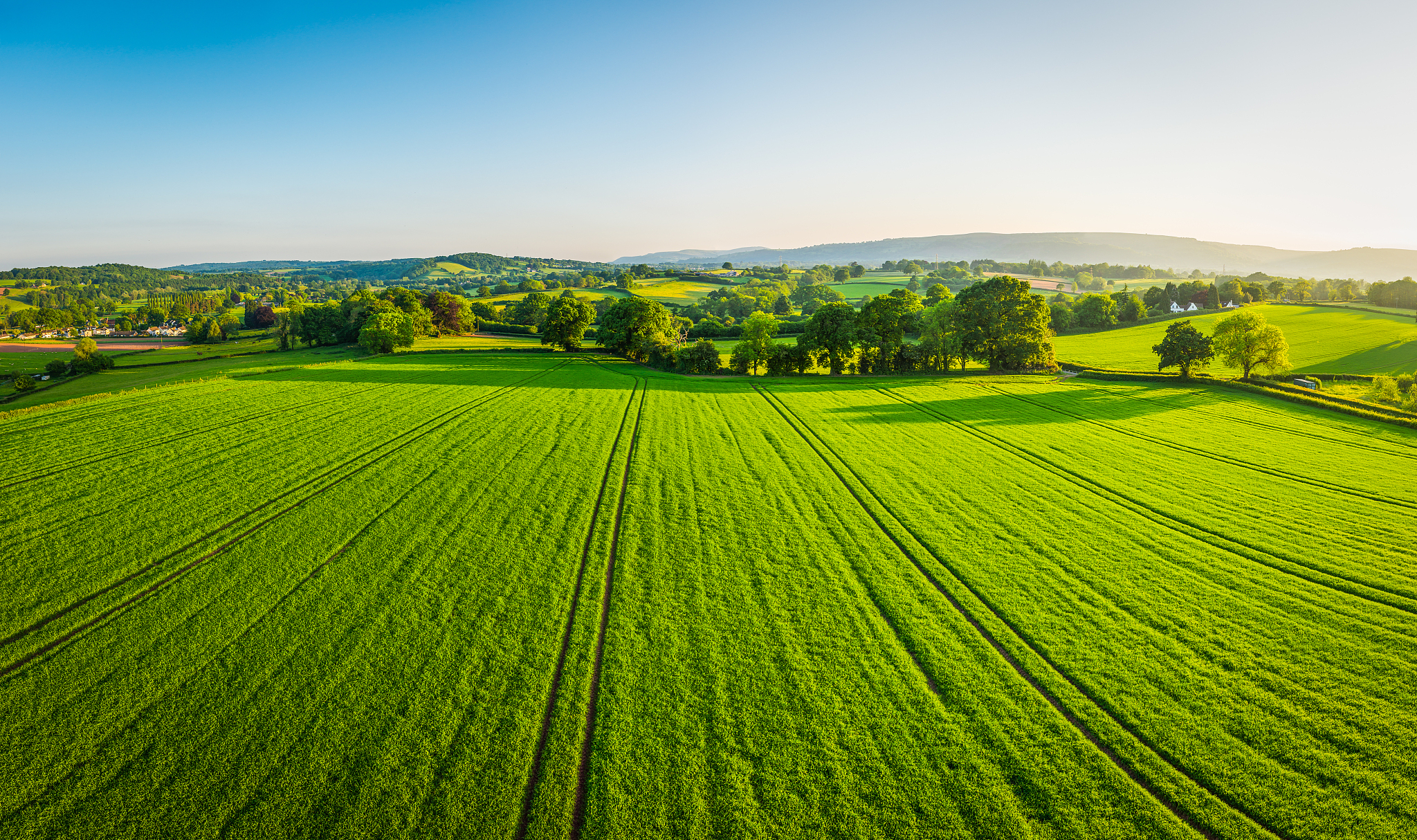 Foto von VCG