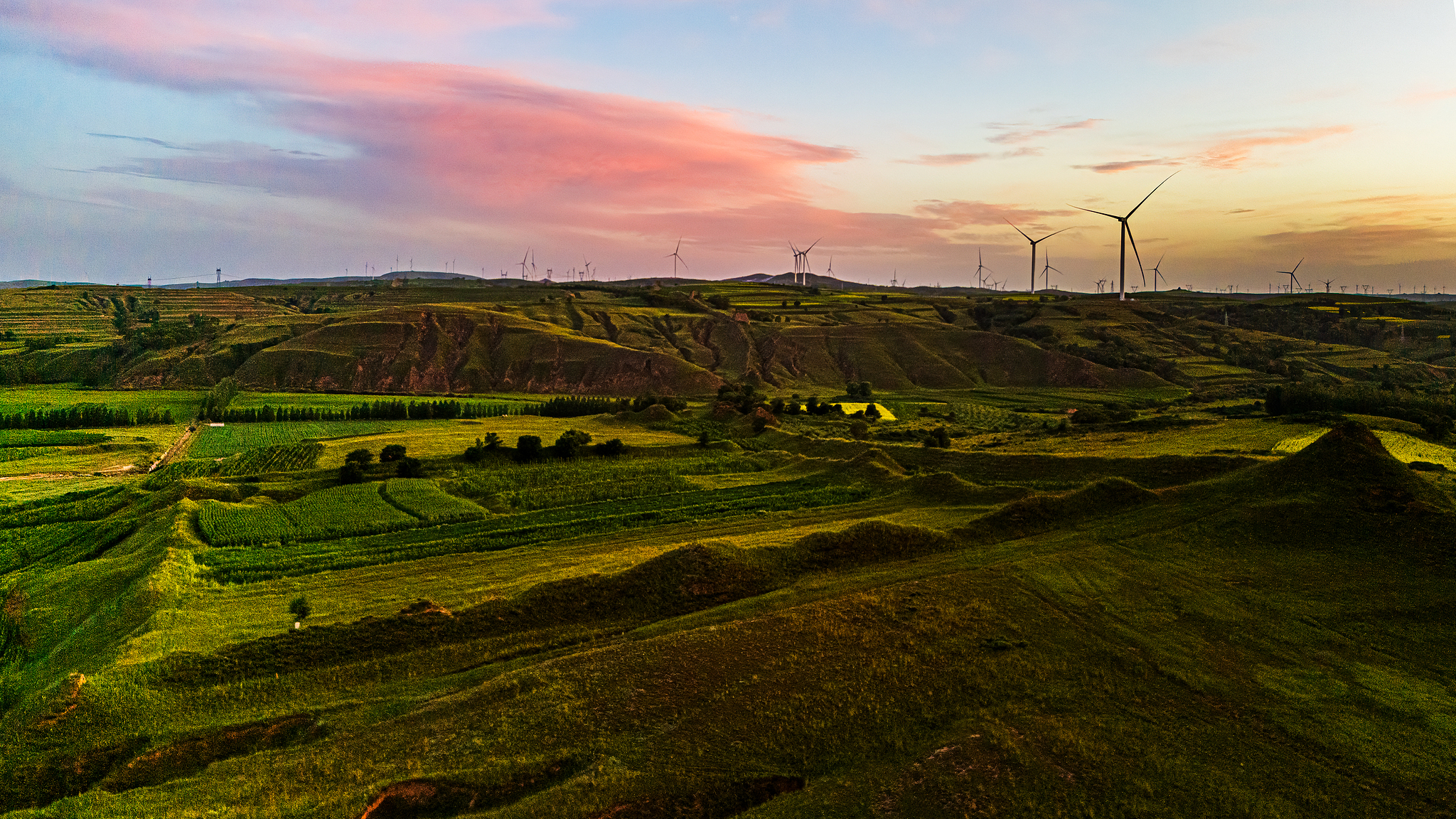 Foto nga VCG